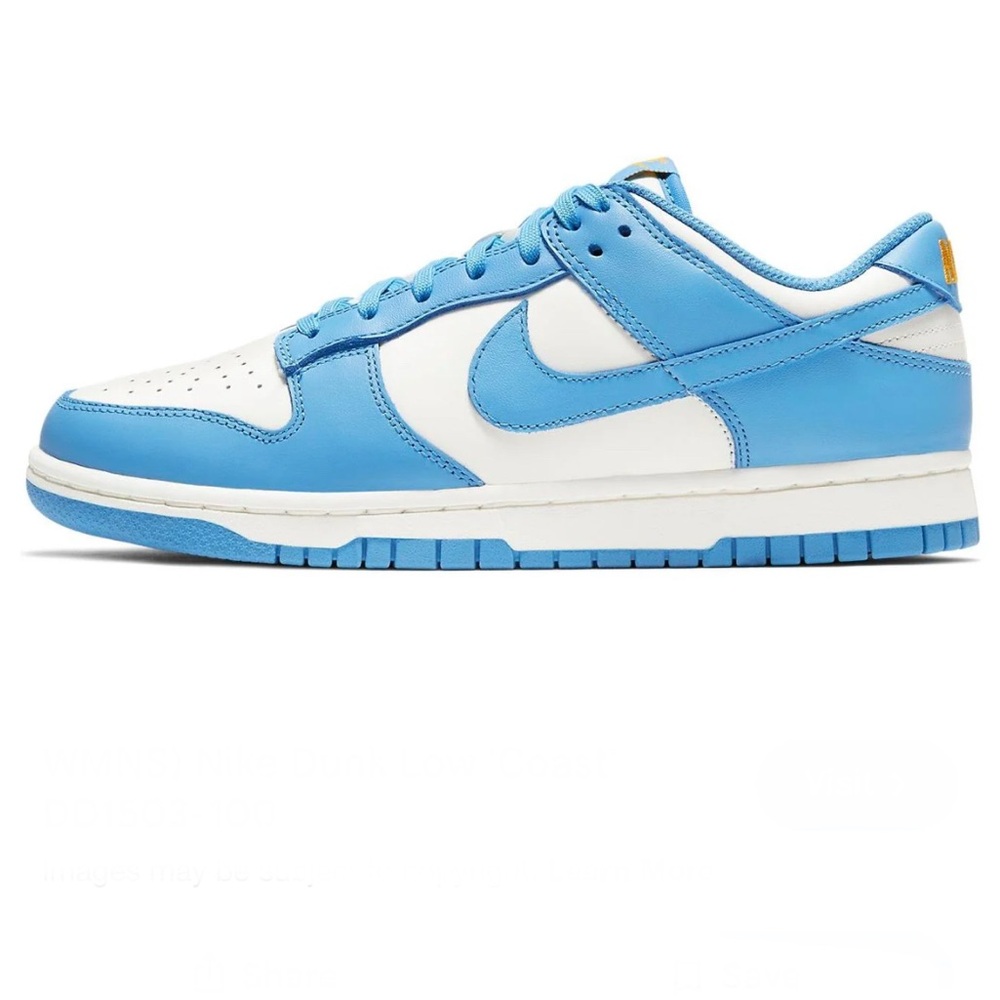 Nike Dunk Low Coast